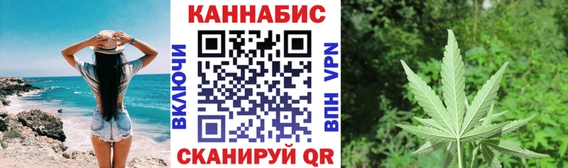 Канабис сатива  дарнет шоп  Черногорск 